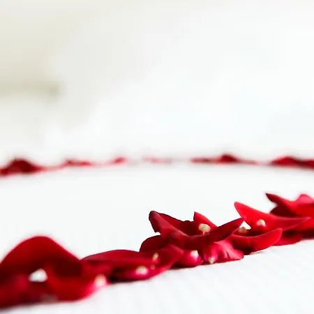 Montaigne & - Centre