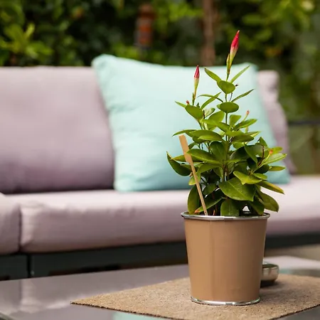 Montaigne & - Centre 4*